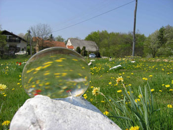 Golden Spiral, farm Makole